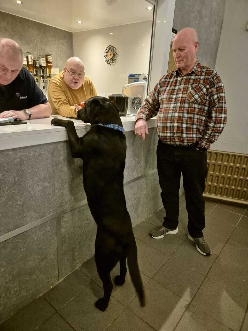 A friendly community gathering with a dog at the Lodge